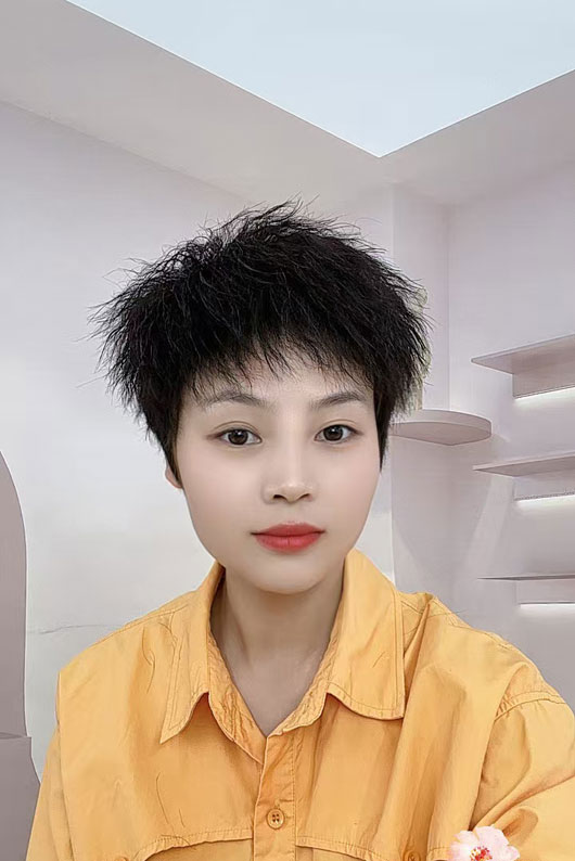 SY-Q8女士假发